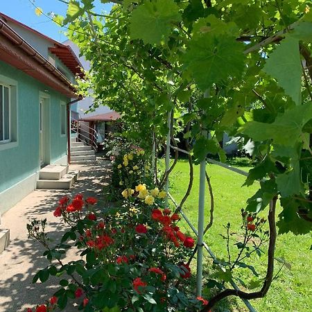 Casa Pestelui Otel Două Mai Dış mekan fotoğraf