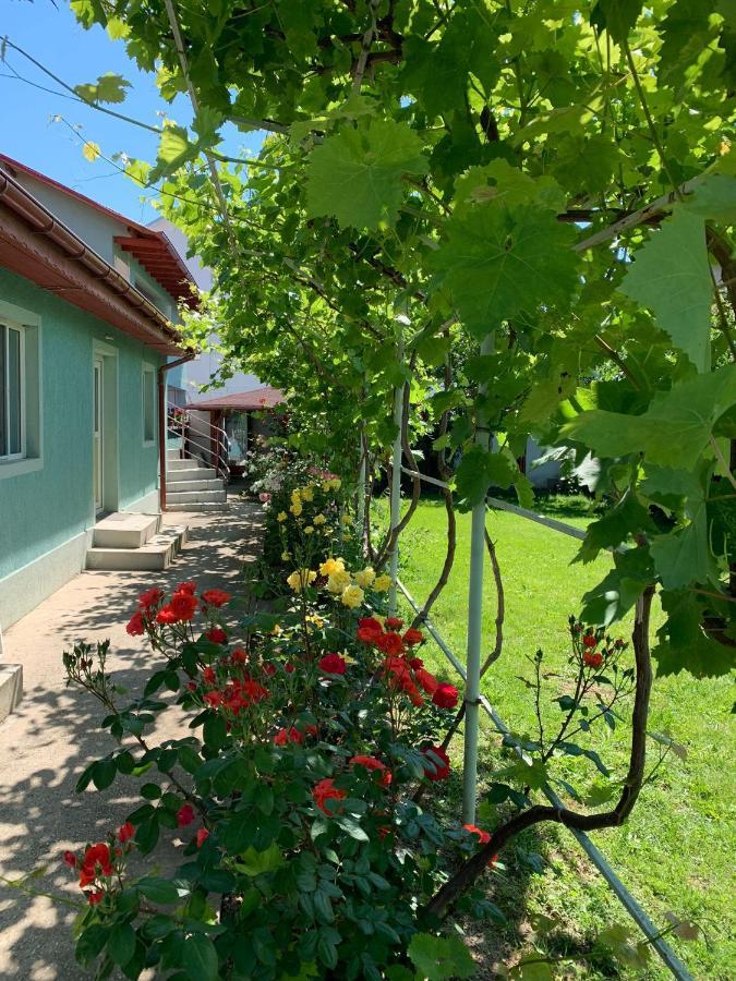 Casa Pestelui Otel Două Mai Dış mekan fotoğraf